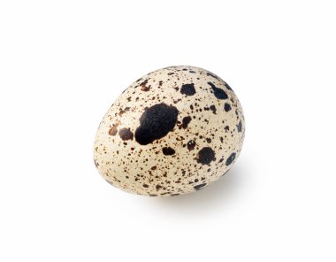 One quail egg placed on a white background