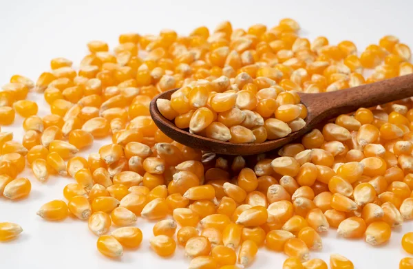 Dried corn kernels and wooden spoon placed on white background. Corn for popcorn.