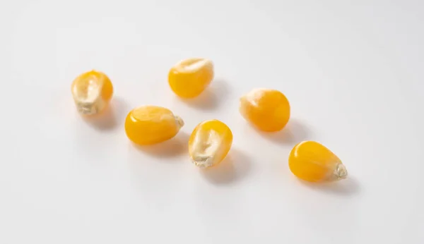 Gedroogde Maïskorrels Geplaatst Witte Achtergrond Maïs Voor Popcorn — Stockfoto