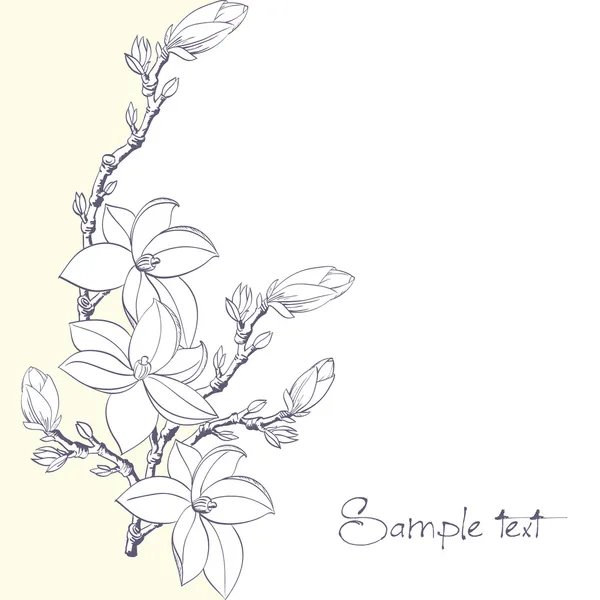 Background magnolia flowers for card or invitation — Stok Vektör