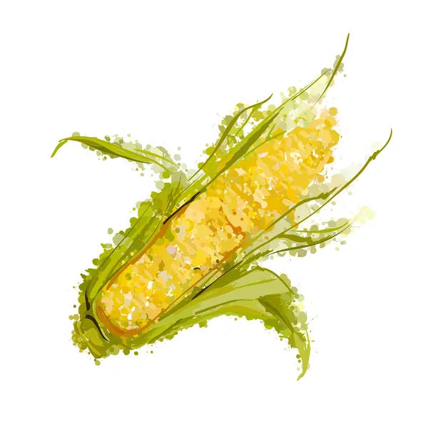 Oído de vector de maíz aislado en blanco — Vector de stock