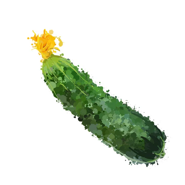 Illustration vectorielle de légumes concombre de taches — Image vectorielle