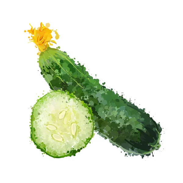 Vetor vegetal de pepino ilustração de manchas — Vetor de Stock