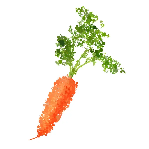 Ripe fresh carrots vector illustration of blots — Stock Vector