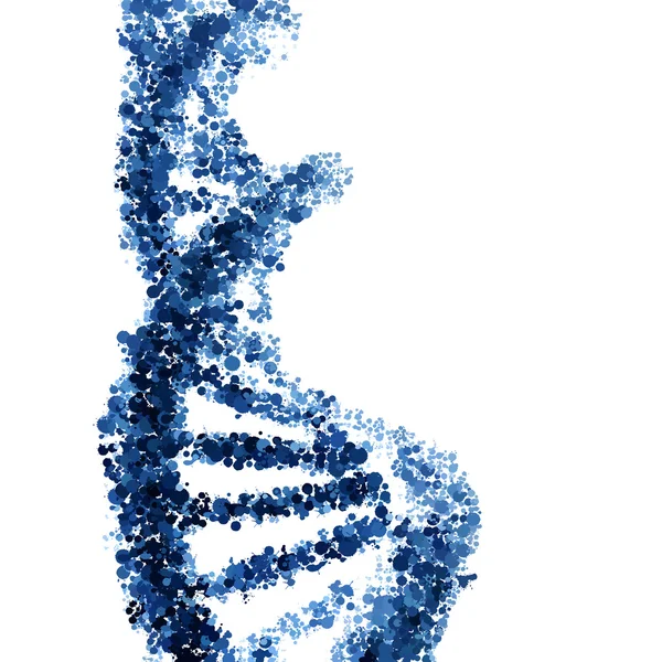 白い背景で隔離された dna ヘリックス ベクトル ベクターグラフィックス