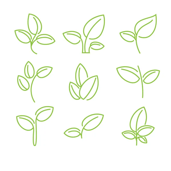 Conjunto de elementos de design de folhas verdes — Vetor de Stock