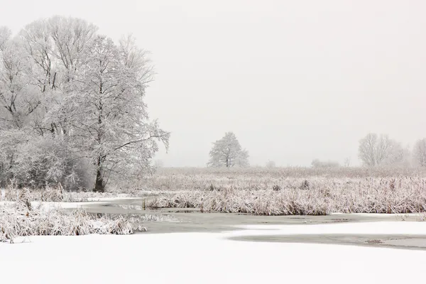 Zugefrorener See — Stockfoto