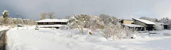 Snow covered landscape with office buildings
