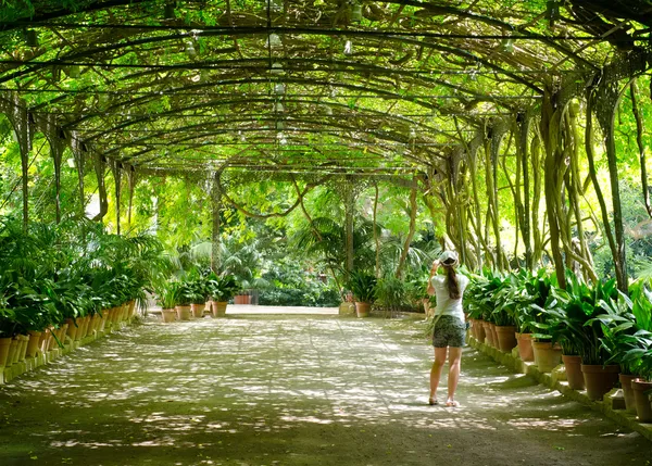 Ботанічний сад Ліцензійні Стокові Зображення