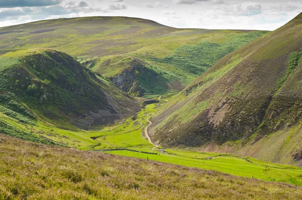 Glaciated valley — Stock Photo, Image