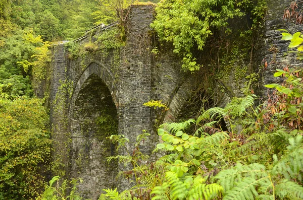 Eski Köprü yeşillik Isle of bute İskoçya için kaplı