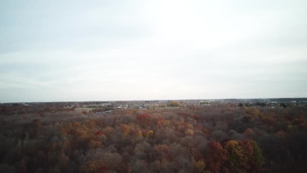 Drone πτήση κατά τη διάρκεια της φθινοπωρινής περιόδου στο Οντάριο Καναδά — Αρχείο Βίντεο