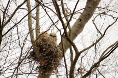 Denizin taşlarının dokusu.