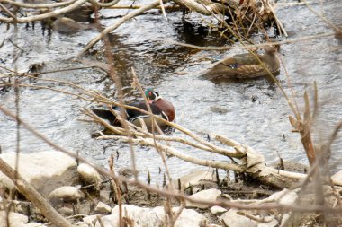 Denizin taşlarının dokusu.