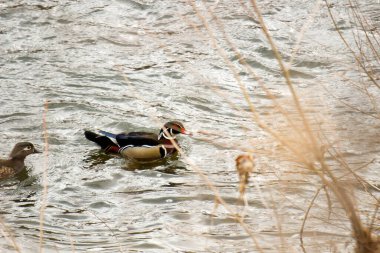 Denizin taşlarının dokusu.