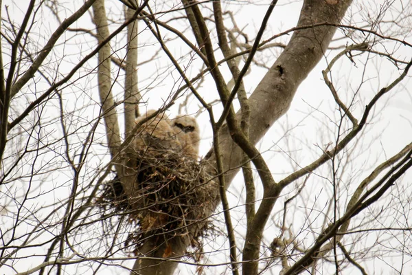 Denizin taşlarının dokusu.