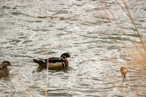 Denizin taşlarının dokusu.