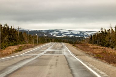 Newfoundland 'da çok güzel manzaralı sıradan bir gezinti.