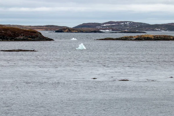 Quelques Petits Icebergs Qui Sont Arrivés Terre — Photo