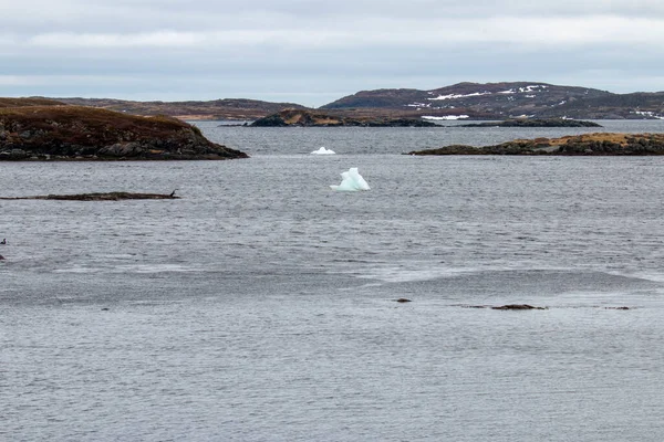 Några Små Isberg Som Har Tagit Sig Till Stranden — Stockfoto