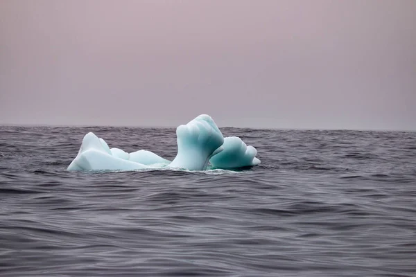 Newfoundland Tourism Includes Looking Icebergs Shown Here — Stock Photo, Image