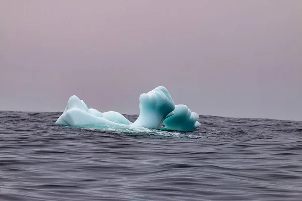 Newfoundland Turizmi Burada Gösterilen Buzdağlarının Aranmasını Içeriyor — Stok fotoğraf