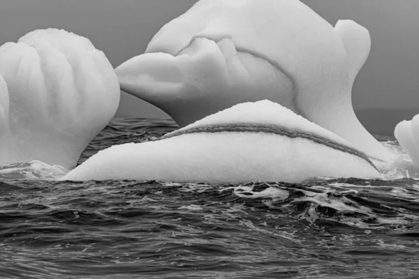 Nos Últimos Anos Mudança Climática Afetou Fluxo Água Onde Icebergs — Fotografia de Stock