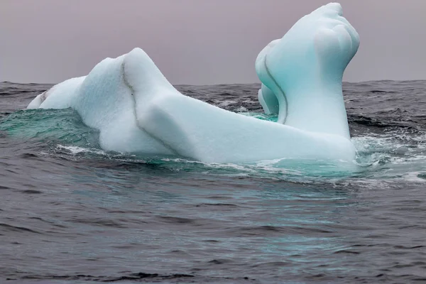 Recent Years Climate Change Has Affected Flow Water Icebergs End — Stock Photo, Image