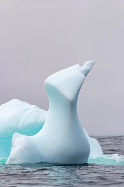 Nos Últimos Anos Mudança Climática Afetou Fluxo Água Onde Icebergs — Fotografia de Stock