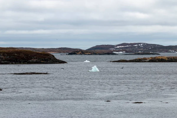 Quelques Petits Icebergs Qui Sont Arrivés Terre — Photo