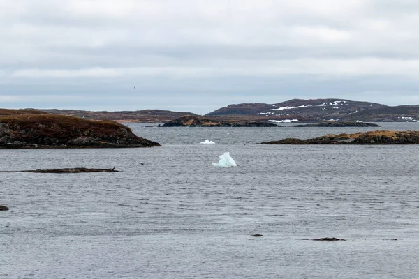 Algunos Icebergs Pequeños Que Han Llegado Orilla — Foto de Stock