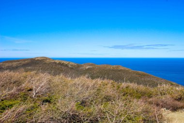 Popüler yürüyüşten Gros morne Newfoundland görüntüleri