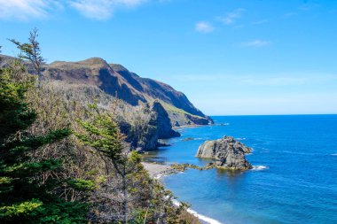 Yeşil bahçe yürüyüşü Yeni keşfedilmiş topraklar