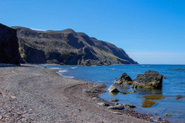 Arka planda Gros Morne Ulusal Parkı 'nın masa dağları, Newfoundland, Kanada