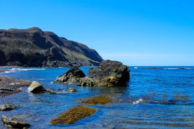 Arka planda Gros Morne Ulusal Parkı 'nın masa dağları, Newfoundland, Kanada