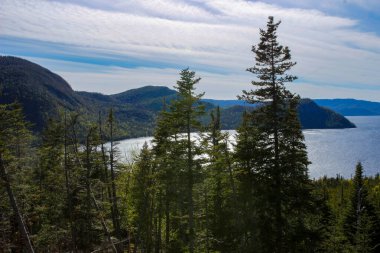 Odunsu Yeni Topraklar, bir gözcünün manzarası