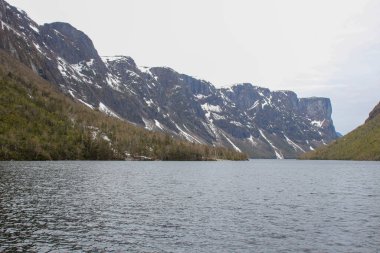 Yeni kurulan toprakların fiyortlarını görmek için ortak turizm aktiviteleri