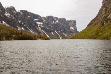 Yeni kurulan toprakların fiyortlarını görmek için ortak turizm aktiviteleri