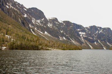 Yeni kurulan toprakların fiyortlarını görmek için ortak turizm aktiviteleri
