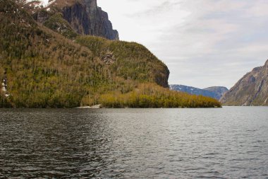 Yeni kurulan toprakların fiyortlarını görmek için ortak turizm aktiviteleri