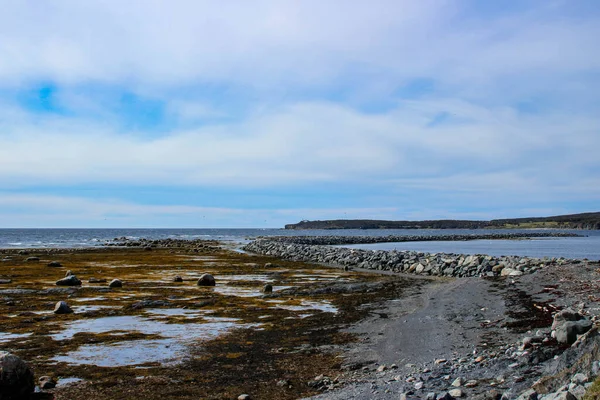 Rocky Harbour Newfoundland 'dan bazı görüntüler, bir dizi fotoğraf.