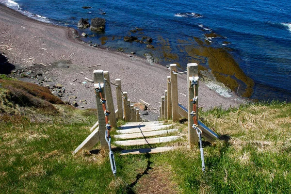 Schritte Die Zum Ozean Neufundland Kanada Führen — Stockfoto