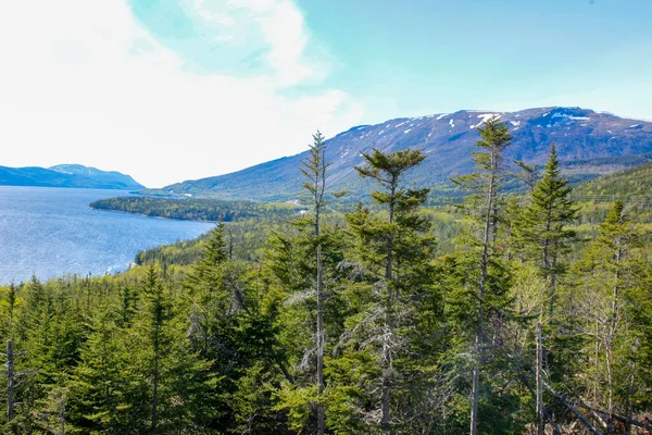 Woody Point Ньюфаундленд Вид Смотровой Площадки — стоковое фото