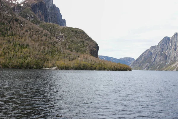 Gemeinsame Touristische Aktivitäten Zur Besichtigung Der Fjorde Von Neufundland — Stockfoto