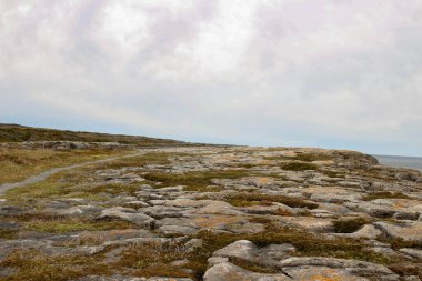 Okyanus manzaralı Newfoundland 'ın kayalık kıyılarında yürüyüş yapan Port Au choix