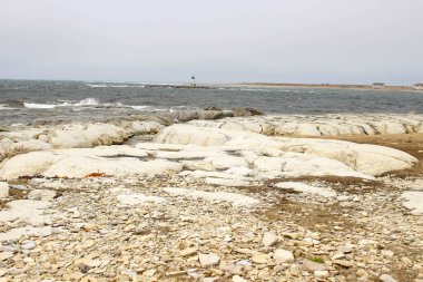 Flower 's Cove' un batısındaki Newfoundland, Kanada 'nın trombolitleri. Siyanobakteriler tarafından oluşturulan fosilleşmiş Kambriyen tepecikleri