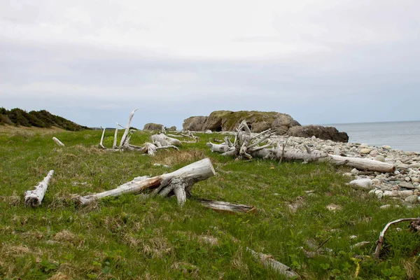 Einzigartiges Foto Von Bögen Provinzpark Neufundland — Stockfoto