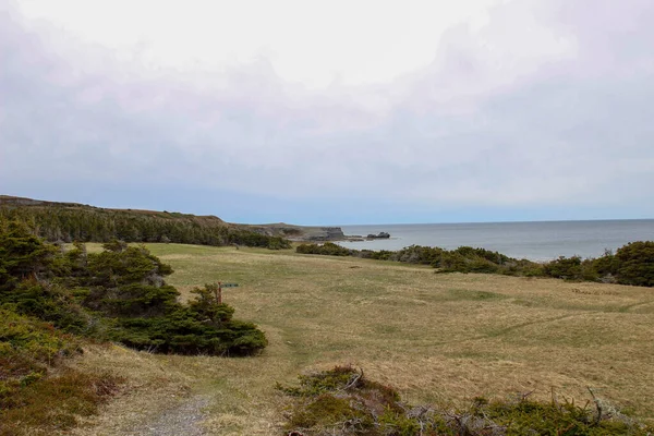 Túrázás Mentén Sziklás Partján Fundland Kilátással Óceánra Port Choix — Stock Fotó