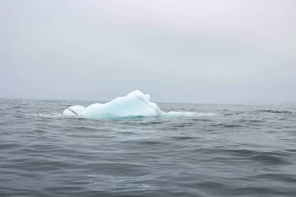 Хвиля Падає Проти Маленького Айсберга Плаває Морі — стокове фото