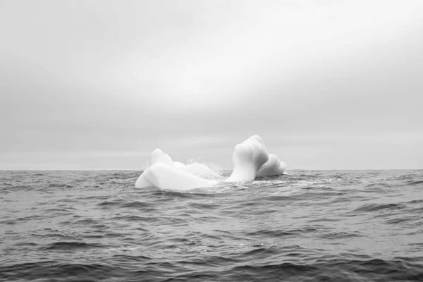 Ola Estrellándose Contra Pequeño Trozo Iceberg Flotando Mar —  Fotos de Stock